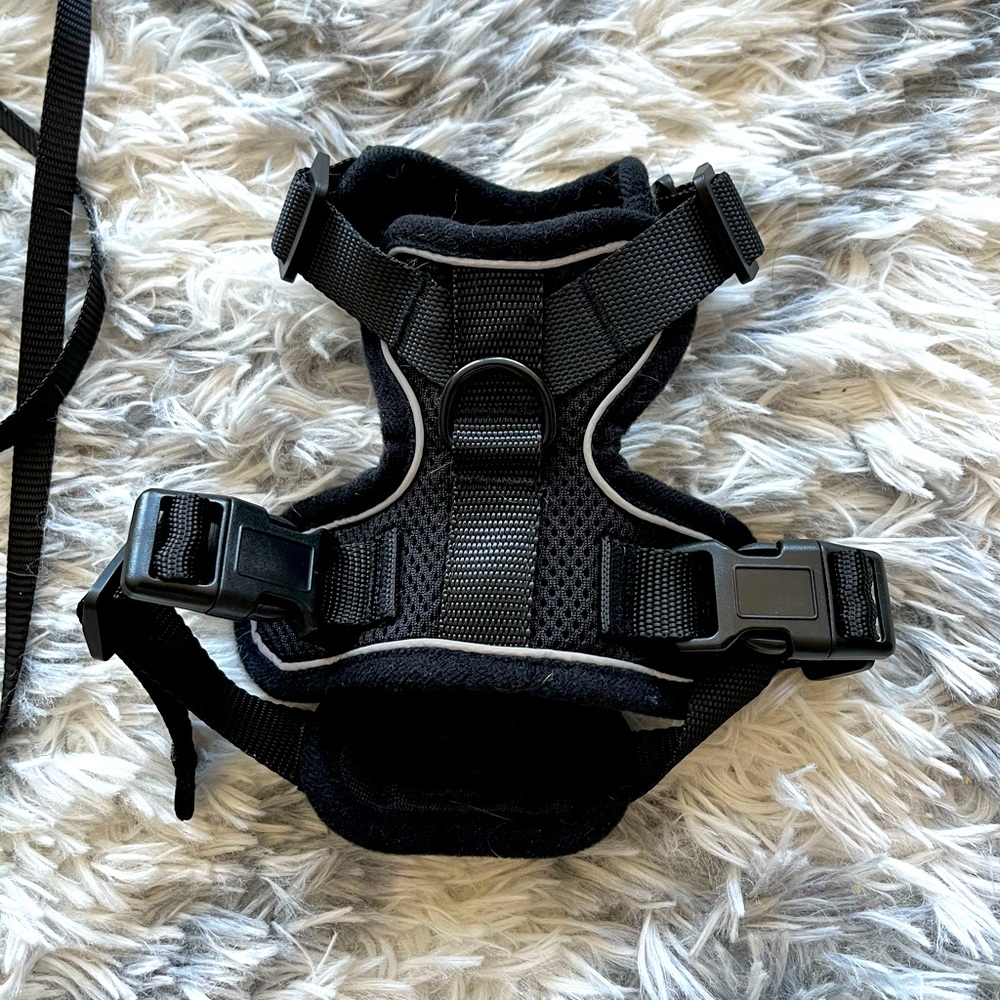 Adjustable Black Padded Dog Harness with Reflective Trim